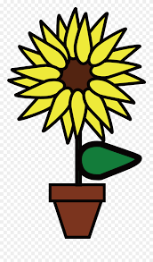 Dengan kelopak kuning cemerlang, juga dikenal sebagai sinar, bunga matahari, tidak salah lagi bunga matahari memiliki penampilan seperti matahari yang telah menjadikannya favorit. Common Sunflower Flower Drawing Plant Flora Png Animasi Bunga Matahari Clipart 5523813 Pinclipart