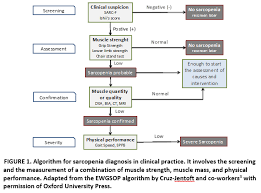 Here we explain the major muscles of the human body. Sarcopenia Potential Interventions For A Newly Recognized Disease Raps