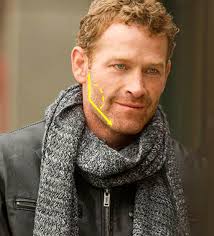 Antediluvian Salad: Not Your Daddy's Tyrannosaurus rex...