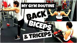 gym exercises for toned arms back