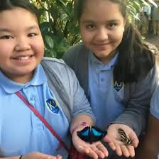 KIPP Journey Collegiate: Academic Excellence, Character Building, and a  Whole Lot of Joy