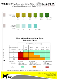 Protein In Urine Levels Chart Urine Protein Level Chart