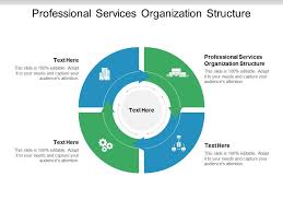 Professional Services Organization Structure Ppt Powerpoint