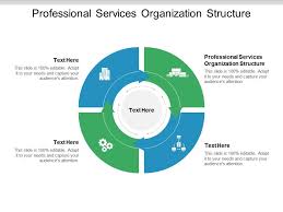 professional services organization structure ppt powerpoint