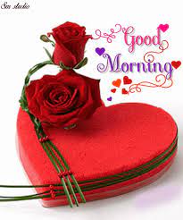 The fig tree is the third tree to be mentioned by name in the hebrew bible. Good Morning Gif Love Good Morning Gifs Love