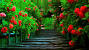 Nature Full Hd Hd Wallpapers 1080p For Pc