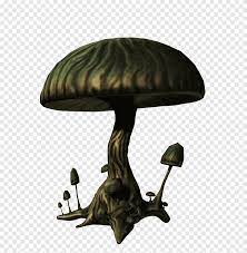He olvidado lo que éste provoca. E S Setas Ilustracion De Hongo Verde Png Pngegg