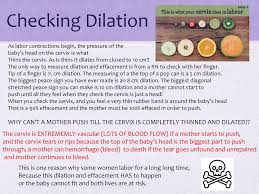 As you approach your due date, your doctor will likely check your cervix for effacement and dilation, but since you can't see your own cervix, it can be tough to really picture what's going on. Physiological Processes Complications And Delivery Ppt Download