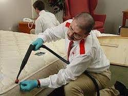 Some famous cities located in the state are agra, jhansi, meerut, mathura, gokul, ayodhaya, and allahabad. Service Provider Of Termite Control Service Pre And Post Construction Termite Treatment Control Service By A One Pest Control Meerut