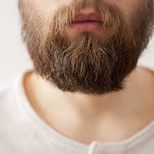 Keep your beard shaped to fit your face, and women will love it. Young Scientist Most Women Do Not Like Beards