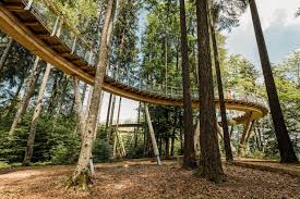 See 782 reviews, articles, and 532 photos of tree top walk, ranked no.2 on tripadvisor among 15 attractions in walpole. Treetop Walk Neckertal Mogelsberg Tourist Attraction Mogelsberg
