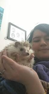 Ravenclaw merch with raven instead of eagle?