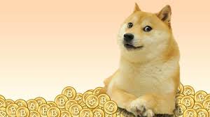 Multidoge is a light wallet. What Is Dogecoin Nichemarket