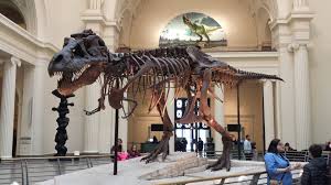 Looking for the top museums in chicago? Chicago Museums Best Museums In Chicago Chicago Visitor Information Museums