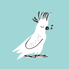 Download free good morning gifs, beautiful nature flower good morning animated gifs to share your morning wishes with others. Good Morning Gifs Find Share On Giphy