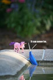 True Love Conquers All Narwhal Star Crossed Lovers Lol