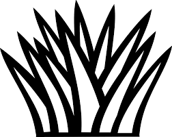 Library of potted cactus png transparent png files clipart cactus aesthetic plants tumblr outline freetoedit rh these pictures of this page are about:black and white cactus clip art aesthetic. Download Hd Cactus Clipart Black And White Cactus Clipart Black Clip Art Black And White Grass Transparent Png Image Nicepng Com