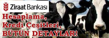 Ziraat Bankasi Hayvancilik Kredisi Ornek Hesaplama 2018