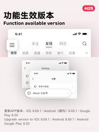 Xiaohongshu introduces translation feature to support ...