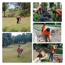 We did not find results for: Potong Rumput Dan Pokok Di Kawasan K Ldan Selangor Services Home Services Others On Carousell
