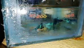This includes bad care in fish stores, bad novelty bowls, someone else's bad betta care. Fish Lovers Posts Facebook