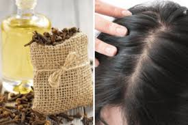 Avoir des cheveux longs et sains prend du temps et de la patience. Voici La Meilleure Facon D Utiliser Les Clous De Girofle Pour Faire Pousser Vos Cheveux Rapidement Excelsior Mag