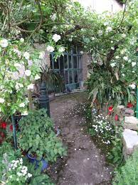 Wir überlegen gerade, ob wir die kiwilaube nicht wegmachen sollten. Kiwilaube Mediterraner Garten In Schwebsingen