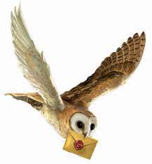 Cover Art Harry Potter Wiki Fandom Poudlard Harry Potter Hibou De Harry Potter