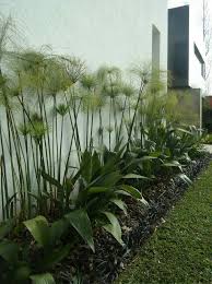 Landscape Gardening Jobs Kent Front Yard Garden Design Shade Garden Design Front Yard Landscaping Design