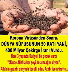 Muge Kurnaz Adli Kullanicinin Siyasi Panosundaki Pin 2020 Gercekler Rumi Sozleri Guzel Soz