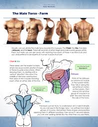 Muscle anatomy books free download. The Anatomy Bundle Jazza Studios