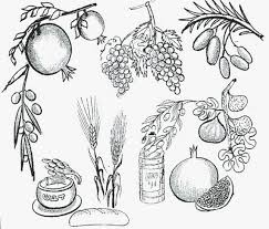 We did not find results for: Sukkot Free Jewish Coloring Pages For Kids