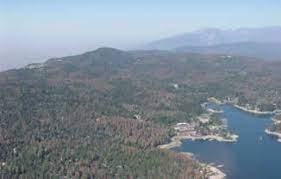 Outbreak species help to renew the forest by killing older trees. Twenty Sixth International Conference On Spatial Data Acquisition In Gis