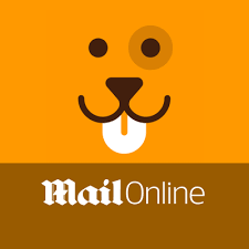 Mailonline (also known as dailymail.co.uk) is the website of the daily mail, a newspaper in the united kingdom, and of its sister paper the mail on sunday. Daily Mail Home Facebook