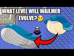 Wailord (Pokémon) - Bulbapedia, The Community-Driven Pokémon Encyclopedia