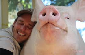 Sometimes I pass wind when people hug me too hard.” -Esthe