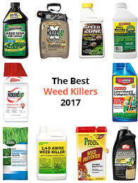 10 Best Weed Killers Dec 2019 Buyers Guide And Reviews