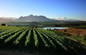 Book bargain stellenbosch hotels and hostels with real guest reviews and ratings and experience excellent customer support, all on trip.com! Asara Wine Estate Hotel Stellenbosch Great Prices At Hotel Info