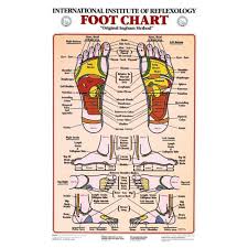 Reflexology Foot And Hand Charts For Sale Reflexology Chart