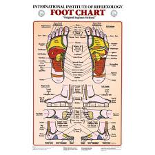 reflexology foot and hand charts for sale reflexology chart