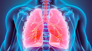 Here you may to know how to know if u have lung cancer. Screening Prevention Early Detection Of Lung Cancer Cancerconnect