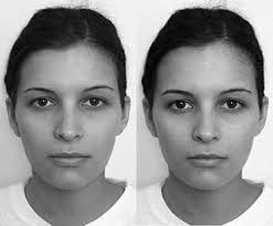 Abbildung 4: Gesicht einer erwachsenen Frau (links), dem 30 Prozent...