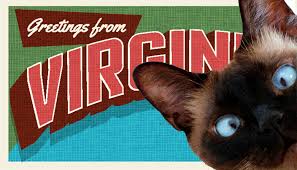 From casual quick bites to the most sumptuous fine dining experience, you can find what you're looking for, all within a few blocks. Virginia Cat Cafes That Cat Life