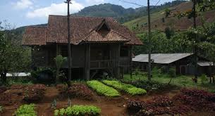 Salam rumah kebun organik #rumahkebunorganik. Komunitas 1000 Kebun Organik Itu Tradisi Kita