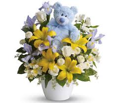 Egmont seed company ltd : Florist Wellington Online Flower Delivery Wellington Florists Nz