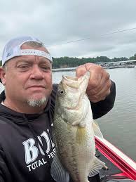 What are the estimates