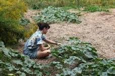 Community Harvest Hours