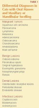 Instead, tumors that arise are likely to be malignant. Feline Oral Squamous Cell Carcinoma An Overview