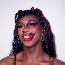 Track: Thallo's 'Pressed And Preserved' is a chamber-folk lovely, warmed  with woodwind