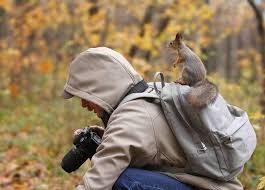 Epingle Par Marcela Richa Sur Fotos Photographe Animalier Photographie Animaliere Photo Animaux